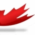 Maple IT services