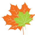 MapleSage