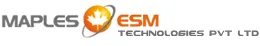 Firestorm SEM logo