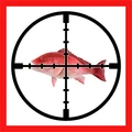 Markfish logo