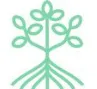 MarVivo logo