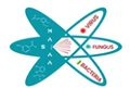 MASAA Innovation