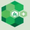 Masaya Medical logo