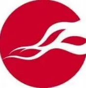 Matasano logo