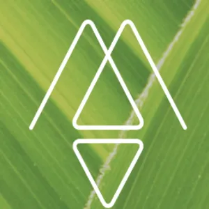 Material Impact logo