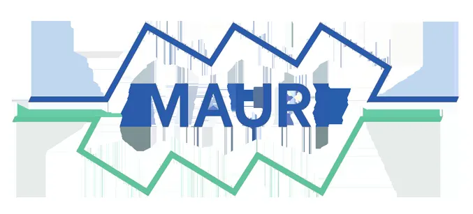 Mauri Bus logo