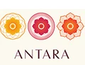 Max Antara