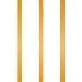 Mayfair 101 logo