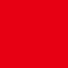 China Micro logo