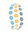 MDI Digital Solutions