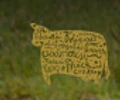 Meander Valley Dairy logo