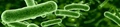 MedBioWorld logo