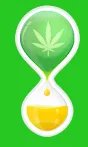 Medicannabis logo