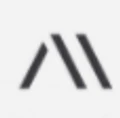 Medius AI