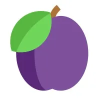 Medplum