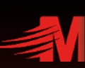 MegaDgital logo