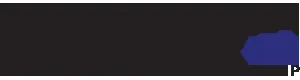 Mega Pixel logo