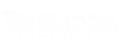 Meliora Technologies