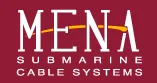MENA logo