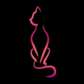 MeowChowNow logo