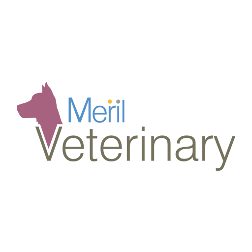 Merilvet
