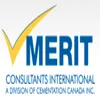 Merit Consultants logo