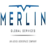 Merlin Global Services logo