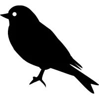 Merula logo