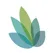 Mesa Organics logo