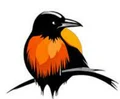 MetaCrow