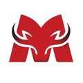 MetalBulls