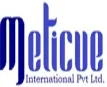 Meticue International