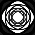 Mezcal Artesanal Nanashi logo