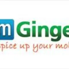 mGinger logo