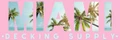 Miami Decking Supply logo