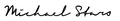 Michael Stars logo