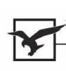 Eagle Vision Eye Care logo