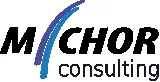 Michor Consulting logo