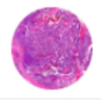 Microscopy Innovations logo