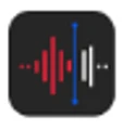 MicroSingle logo