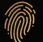 Midas Brands logo