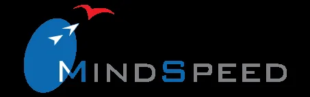 MindSpeed