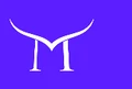 Minerva Capital Group logo