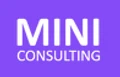MINI Data Consulting