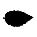 Mint Studios logo