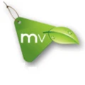 Mint Ventures logo