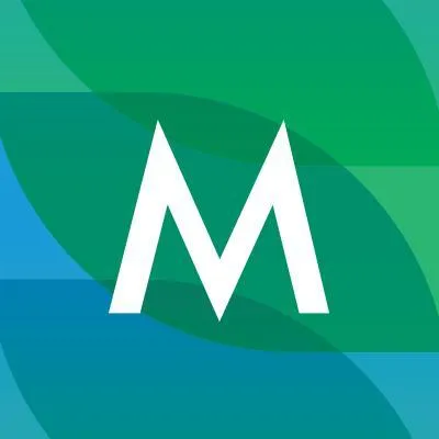 Mint Payments logo