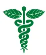Mint Physician Staffing logo