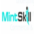 Mintskill