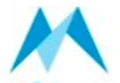 Mobisafar logo